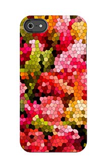 Uncommon LLC C0020-FD Floral Mosaic Roses Capsule Hard Case for iPhone 5/5S - Retail Packaging - Multicolored